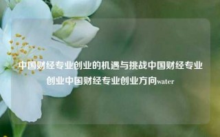 中国财经专业创业的机遇与挑战中国财经专业创业中国财经专业创业方向water