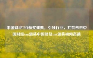 中国财经TMT颁奖盛典，引领行业，共筑未来中国财经tmt颁奖中国财经tmt颁奖视频高德