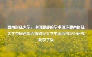 西南财经大学，中国西部的学术明珠西南财经大学中国西部西南财经大学中国西部经济研究院李子柒