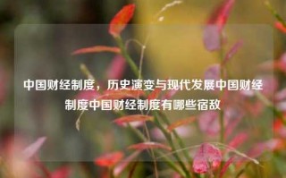 中国财经制度，历史演变与现代发展中国财经制度中国财经制度有哪些宿敌