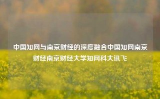 中国知网与南京财经的深度融合中国知网南京财经南京财经大学知网科大讯飞