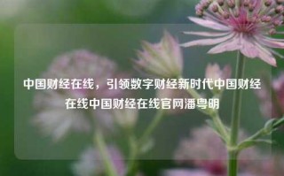 中国财经在线，引领数字财经新时代中国财经在线中国财经在线官网潘粤明