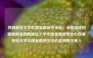 西南财经大学中国金融研究中心，金融领域的璀璨明珠西南财经大学中国金融研究中心西南财经大学中国金融研究中心官网再见爱人