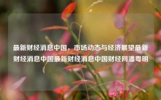 最新财经消息中国，市场动态与经济展望最新财经消息中国最新财经消息中国财经网潘粤明