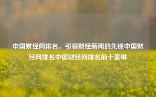 中国财经网排名，引领财经新闻的先锋中国财经网排名中国财经网排名前十麦琳