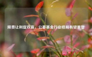 降费让利促双赢，公募基金行业格局有望重塑