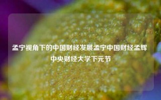 孟宁视角下的中国财经发展孟宁中国财经孟辉 中央财经大学下元节