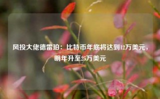 风投大佬德雷珀：比特币年底将达到12万美元，明年升至25万美元