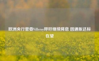 欧洲央行管委Villeroy呼吁继续降息 因通胀达标在望