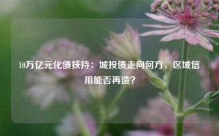 10万亿元化债扶持：城投债走向何方，区域信用能否再造？