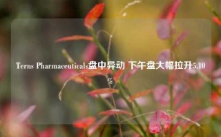 Terns Pharmaceuticals盘中异动 下午盘大幅拉升5.10%