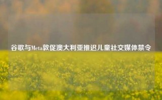 谷歌与Meta敦促澳大利亚推迟儿童社交媒体禁令