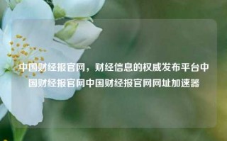 中国财经报官网，财经信息的权威发布平台中国财经报官网中国财经报官网网址加速器