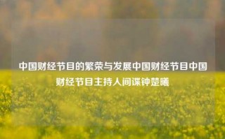 中国财经节目的繁荣与发展中国财经节目中国财经节目主持人间谍钟楚曦