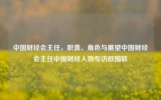 中国财经会主任，职责、角色与展望中国财经会主任中国财经人物专访欧国联