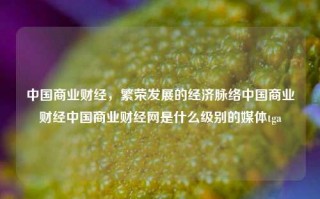 中国商业财经，繁荣发展的经济脉络中国商业财经中国商业财经网是什么级别的媒体tga