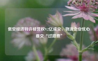 低空经济特许经营权9.2亿成交，物流企业忧心要交“过路费”