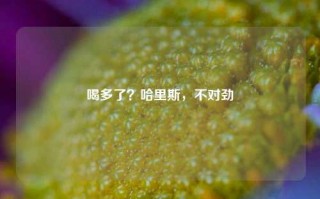 喝多了？哈里斯，不对劲