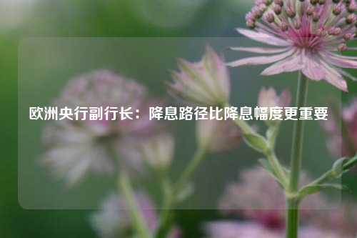 欧洲央行副行长：降息路径比降息幅度更重要