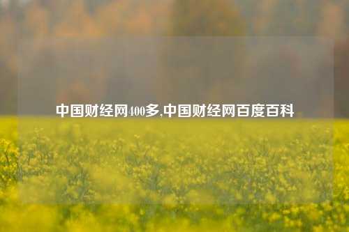 中国财经网400多,中国财经网百度百科