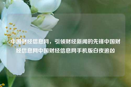 中国财经信息网，引领财经新闻的先锋中国财经信息网中国财经信息网手机版白夜追凶-第1张图片-中国财经