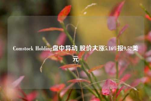 Comstock Holding盘中异动 股价大涨5.16%报9.52美元-第1张图片-中国财经