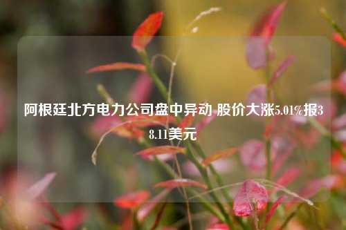 阿根廷北方电力公司盘中异动 股价大涨5.01%报38.11美元-第1张图片-中国财经