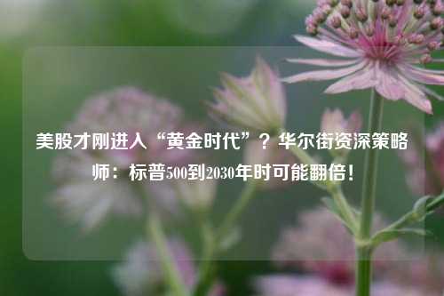 美股才刚进入“黄金时代”？华尔街资深策略师：标普500到2030年时可能翻倍！-第1张图片-中国财经