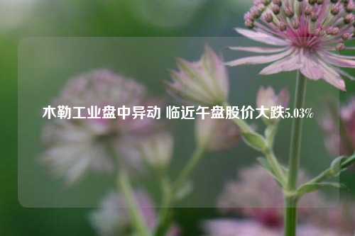 木勒工业盘中异动 临近午盘股价大跌5.03%-第1张图片-中国财经