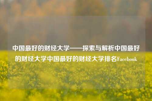 中国最好的财经大学——探索与解析中国最好的财经大学中国最好的财经大学排名Facebook-第1张图片-中国财经