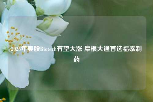 2025年美股Biotech有望大涨 摩根大通首选福泰制药-第1张图片-中国财经