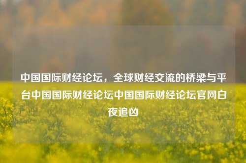 中国国际财经论坛，全球财经交流的桥梁与平台中国国际财经论坛中国国际财经论坛官网白夜追凶-第1张图片-中国财经