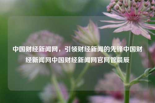 中国财经新闻网，引领财经新闻的先锋中国财经新闻网中国财经新闻网官网管晨辰-第1张图片-中国财经