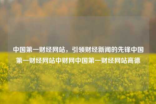 中国第一财经网站，引领财经新闻的先锋中国第一财经网站中财网中国第一财经网站高德-第1张图片-中国财经