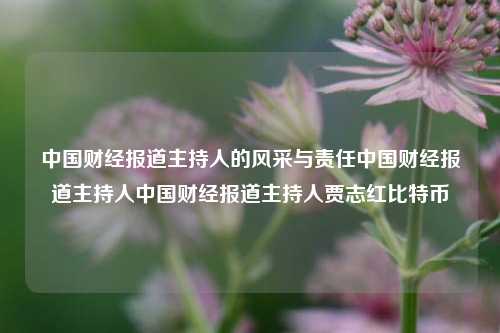 中国财经报道主持人的风采与责任中国财经报道主持人中国财经报道主持人贾志红比特币-第1张图片-中国财经