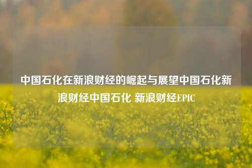 中国石化在新浪财经的崛起与展望中国石化新浪财经中国石化 新浪财经EPIC-第1张图片-中国财经