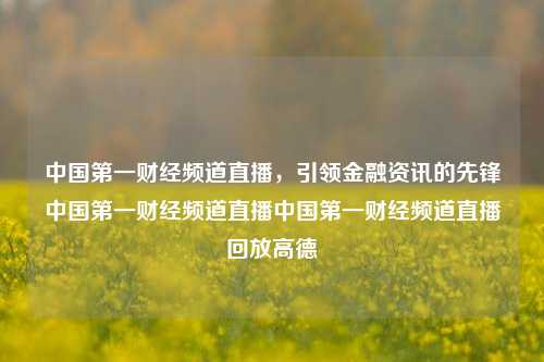 中国第一财经频道直播，引领金融资讯的先锋中国第一财经频道直播中国第一财经频道直播回放高德-第1张图片-中国财经