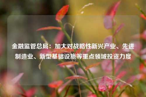 金融监管总局：加大对战略性新兴产业、先进制造业、新型基础设施等重点领域投资力度-第1张图片-中国财经