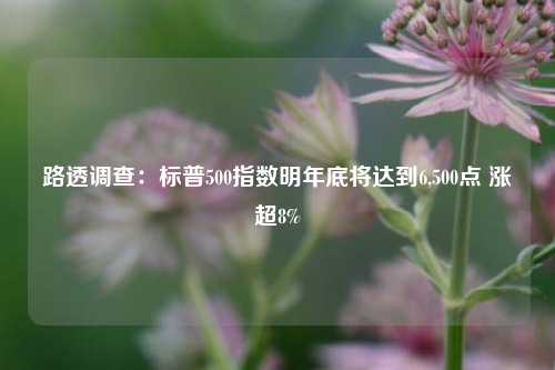 路透调查：标普500指数明年底将达到6,500点 涨超8%-第1张图片-中国财经