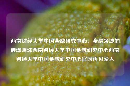 西南财经大学中国金融研究中心，金融领域的璀璨明珠西南财经大学中国金融研究中心西南财经大学中国金融研究中心官网再见爱人-第1张图片-中国财经