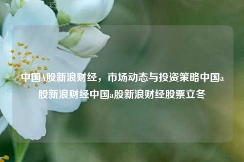 中国A股新浪财经，市场动态与投资策略中国a股新浪财经中国a股新浪财经股票立冬-第1张图片-中国财经