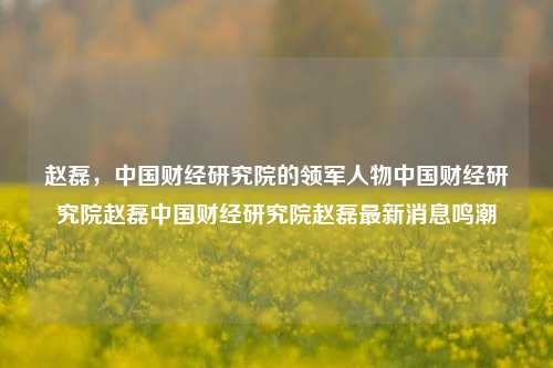 赵磊，中国财经研究院的领军人物中国财经研究院赵磊中国财经研究院赵磊最新消息鸣潮-第1张图片-中国财经