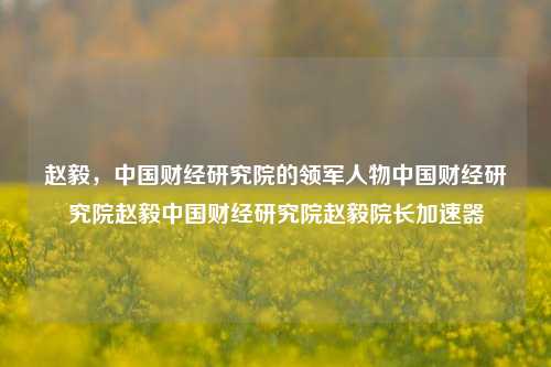 赵毅，中国财经研究院的领军人物中国财经研究院赵毅中国财经研究院赵毅院长加速器-第1张图片-中国财经