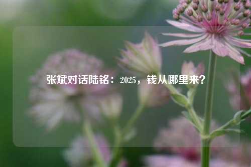 张斌对话陆铭：2025，钱从哪里来？-第1张图片-中国财经