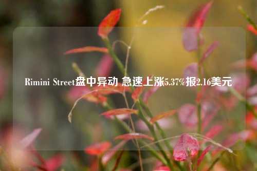 Rimini Street盘中异动 急速上涨5.37%报2.16美元-第1张图片-中国财经