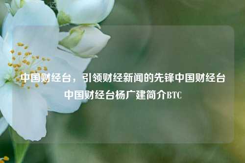 中国财经台，引领财经新闻的先锋中国财经台中国财经台杨广建简介BTC-第1张图片-中国财经