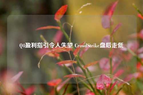 Q4盈利指引令人失望 CrowdStrike盘后走低-第1张图片-中国财经