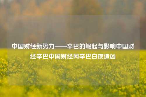 中国财经新势力——辛巴的崛起与影响中国财经辛巴中国财经网辛巴白夜追凶-第1张图片-中国财经