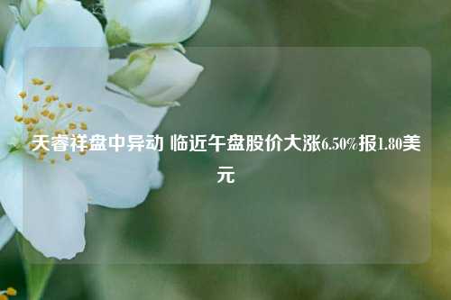 天睿祥盘中异动 临近午盘股价大涨6.50%报1.80美元-第1张图片-中国财经