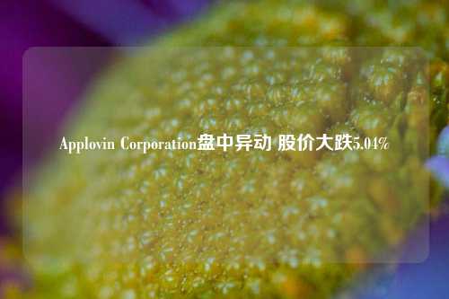 Applovin Corporation盘中异动 股价大跌5.04%-第1张图片-中国财经